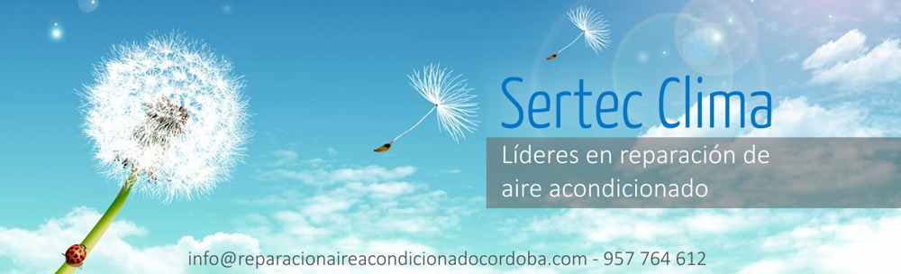 Servicio técnico oficial de aire acondicionado Carrier en Córdoba